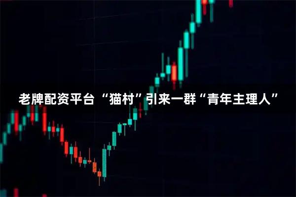 老牌配资平台 “猫村”引来一群“青年主理人”