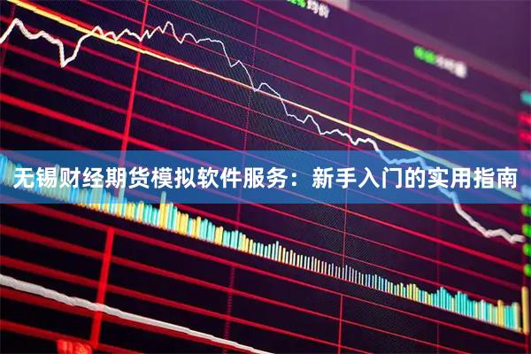 无锡财经期货模拟软件服务：新手入门的实用指南